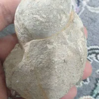 تابلو نقاشی،فسیل،قفل کهنه و..|صنایع دستی و سایر لوازم تزئینی|تهران, قنات‌کوثر|دیوار