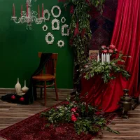 عکاسی با دکور یلدا