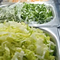 نیرو جهت کار در فلافلی