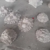 کله شیر دیواری فایبرگلاس ( مجسمه سازی اطمانی)|مجسمه، تندیس، ماکت|مشهد, نوید|دیوار