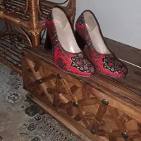 یک جفت کفش مجلسی