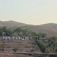 فروش فوری ۲۰۰ متر زمین