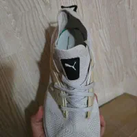 کتونی اورجینال پوما