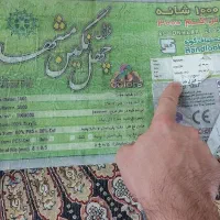 دو عدد فرش ۱۲ متری ۱۰۰۰شانه تراکم ۳۰۰۰ درحدنو|فرش|رشت, نامجو|دیوار