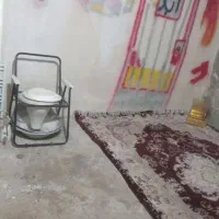 همخانه|اجارهٔ آپارتمان|پردیس, فاز ۳|دیوار