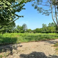 کلبه سویسی دو خوابه جکوزی دار ویو جنگلی  ماسال|اجارهٔ کوتاه‌مدت ویلا و باغ|رشت, منظریه|دیوار