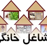 نظارت و بازدید کسب و کار مشاغل خانگی
