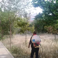 کلیه امورات باغبانی|خدمات باغبانی و درختکاری|شیراز, لشکری‎|دیوار