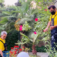 خدمات باغبانی طراحی فضای سبز فروش گل باغچه کاری|خدمات باغبانی و درختکاری|تهران, سعادتآباد|دیوار