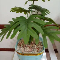 گل مصنوعی، گلدان تزیینی، هدیه روز مادر و زن|گل مصنوعی|تهران, اسفندیاری|دیوار