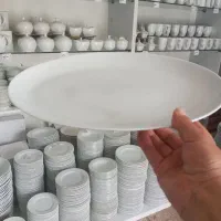 دیس چینی سایز بزرگ هر عدد فقط ۱۹۵ تومان