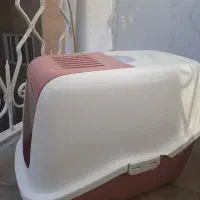 وسایل گربه پرشین