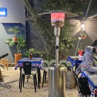 هیتر قارچی وارداتی