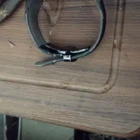 ساعت مچی گهر پارک پیدا شده