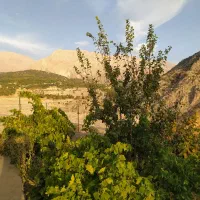 فروش باغ در روستای توریستی بیاره سیسخت
