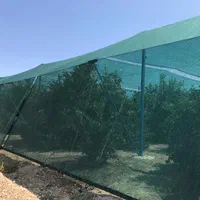 شید گلخانه تورینه بافت تراکم واقعی توری سایبان کرج|خدمات باغبانی و درختکاری|کرج, گوهردشت|دیوار