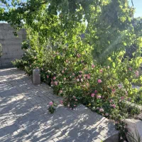 باغچه سنتی۳۵۸متر شهرکی زیر قیمت بنای ۵۷ متری نوساز|فروش خانه و ویلا|هشتگرد, تهران دشت|دیوار
