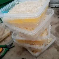 عسل طبیعی تازه|خوردنی و آشامیدنی|پیرانشهر, |دیوار