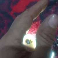 نگین تک درخت شجر تمیز|جواهرات|کارون, |دیوار