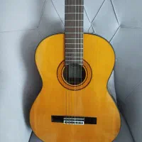 گیتار آریا AK80|گیتار، بیس، امپلیفایر|گلبهار, شهر جدید گلبهار|دیوار