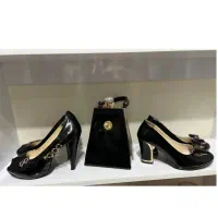 کیف و کفش مجلسی ست