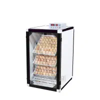 دستگاه جوجه کشی اسکندری 168 تایی به شرط و سالم