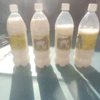 بزرگترین توزیع کننده شیر الاغ خر
