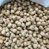 نخود بهاره درجه یک