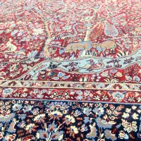 فرش ۱۲ متری در حد نو|فرش|بندرعباس, |دیوار