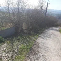 فروش باغ مرکبات|فروش زمین و ملک کلنگی|قائمشهر, |دیوار