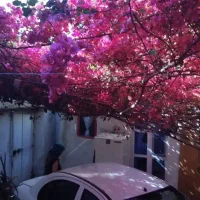 اجاره روزانه خانه ویلایی ۷۵ متری در هفت تیر