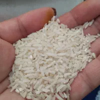 سرلاشع کاشت دوم واقعا خوشمزه زیر قیمت بازار