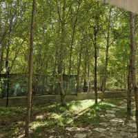 باغ سدکارده|فروش خانه و ویلا|مشهد, کارده|دیوار