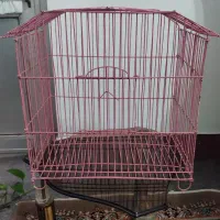 قفس کوچک پرنده|لوازم جانبی حیوانات|بهشهر, |دیوار