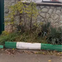 فروش زمین ۴۲۰ متری لواسان