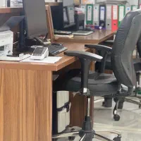 کمک حسابدار خانم