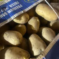 سیب زمینی تازه