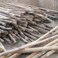خریدار تیر سقفی خشک