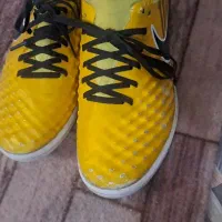 کتونی سالنی مجیستا در حد