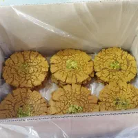 فروشنده خانم نیازمندیم|استخدام بازاریابی و فروش|تبریز, |دیوار