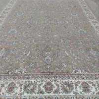 دو جفت گردویی ۱۲ متری سالم