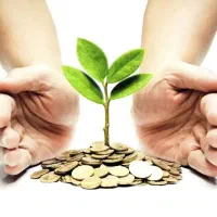 نیازمند سرمایه