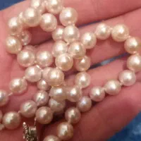 اشیاء عتیقه|کلکسیون اشیاء عتیقه|اصفهان, تخت فولاد|دیوار