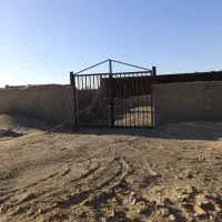 فروش دامداری100راسی