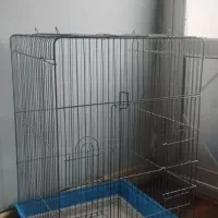 قفس پرنده|لوازم جانبی حیوانات|تنکابن, |دیوار