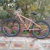 دوچرخه مسابقه ای ویوا