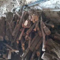 خریدارمرکبات ریشه مرکبات اکالیتوس وغیره