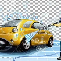 نیروی کار کارواش