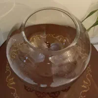 ظروف پذیرایی|ظروف سرو و پذیرایی|کرج, حسینآباد|دیوار