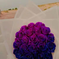 گل ربانی